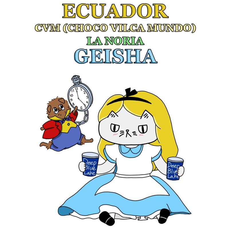 Special Single 에콰도르 초코빌카문도 라 노리아 게이샤  100g (로스팅 4월28일)