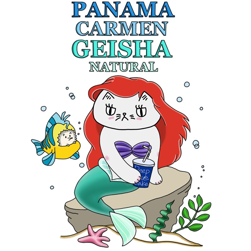 Special Single  파나마 카르멘 게이샤 내추럴 100g  (로스팅 4월28일)